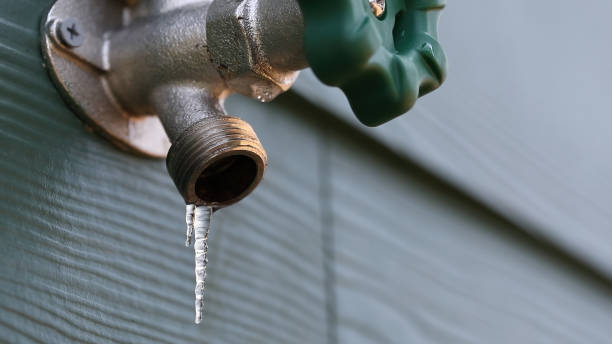 Best Residential Plumbing Services  in Rosemont, IL
